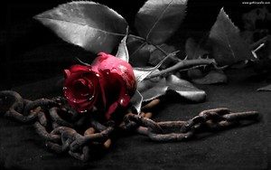 Chains with a rose